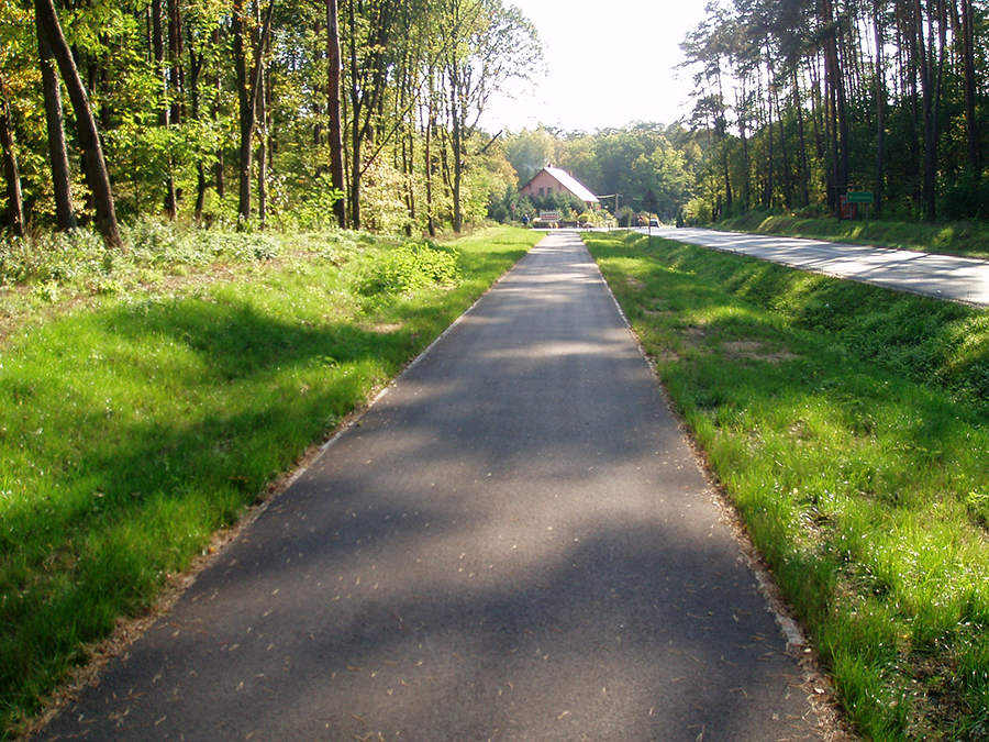 Gołanice-Boszkowo- czyli skike na nogach